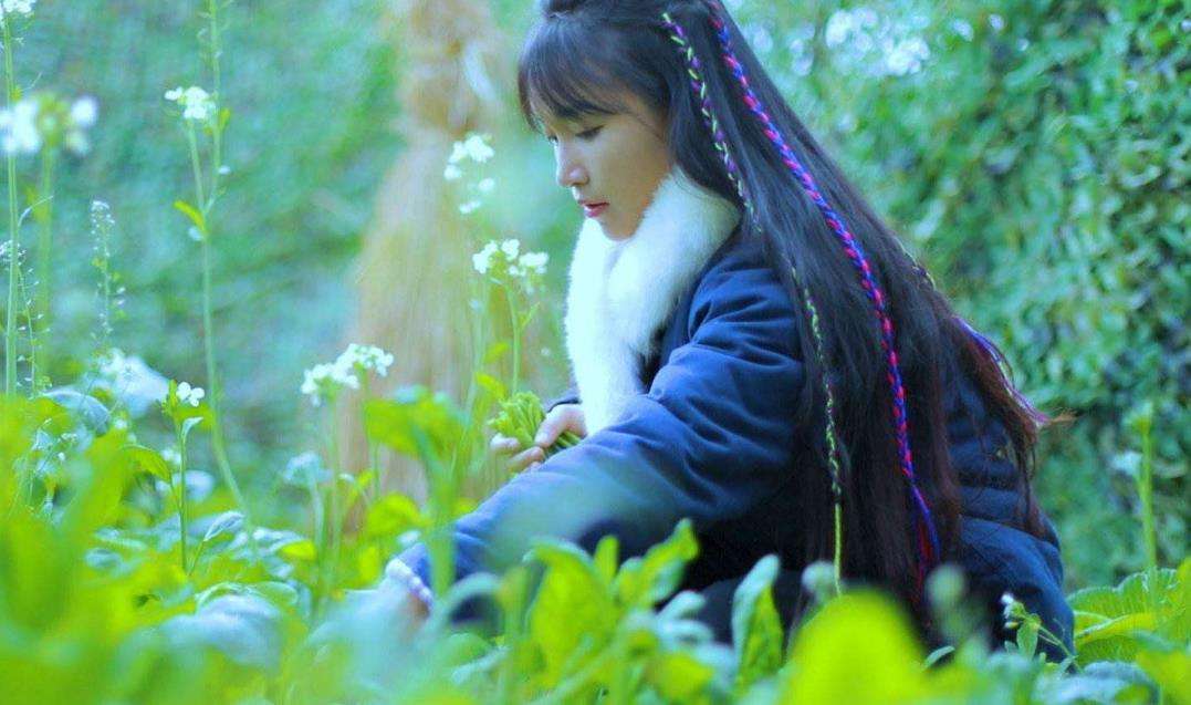 李子柒乡村振兴大使,李子柒乡村文化振兴