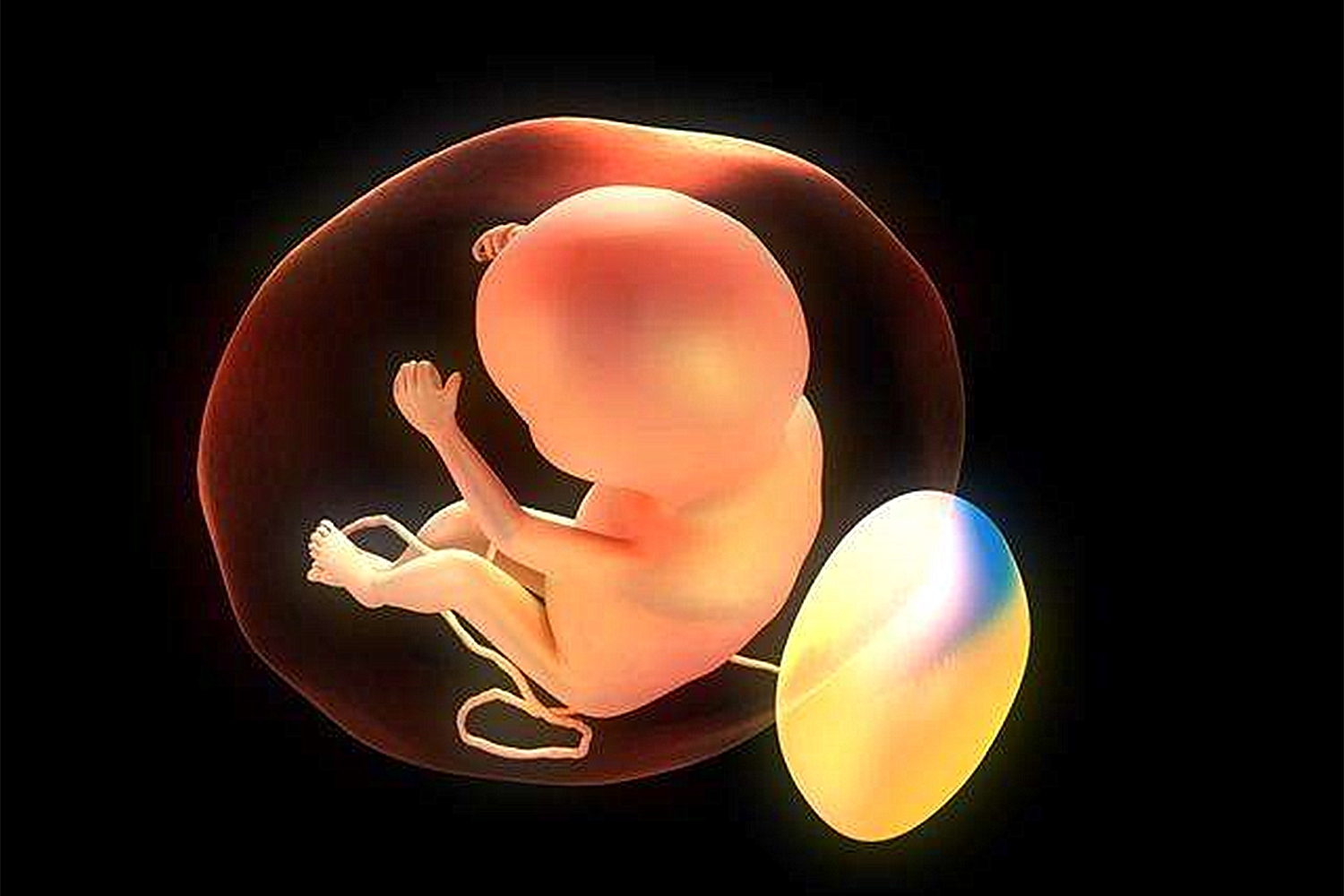 胎儿也会“打嗝”？别误以为是胎动，这几点需要孕妈妈们注意