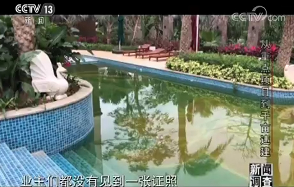 央视调查海南陵水挖芒果结果,央视调查海南陵水挖芒果