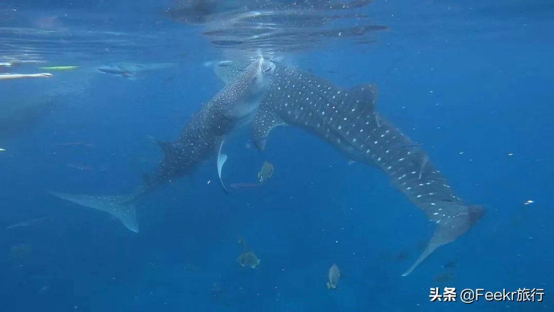 最不想分享的小众海岛,小众海岛旅行