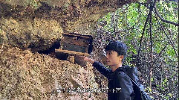 怎么样放诱蜂箱不被寻蜂人找到,秋季诱蜂箱放在哪些地方容易来蜂