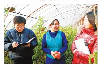 现在农业为什么越来越难做,农业为什么越来越难挣钱了