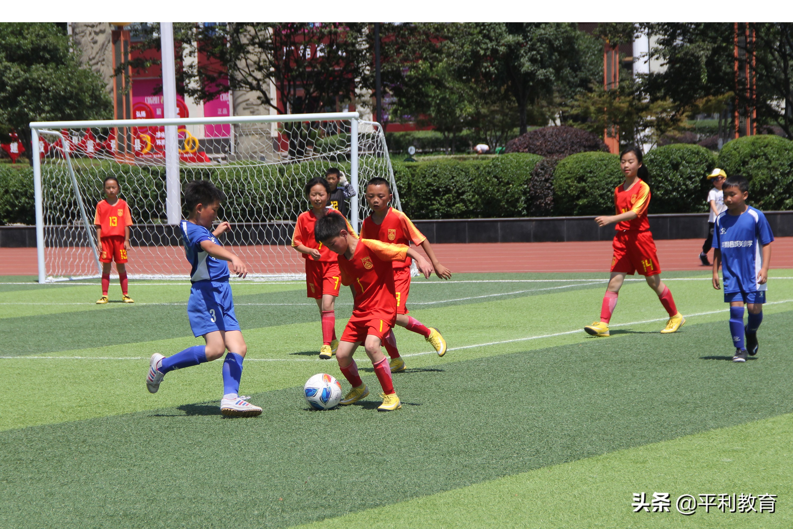 平利县冠军,平利县第七届中小学生运动会