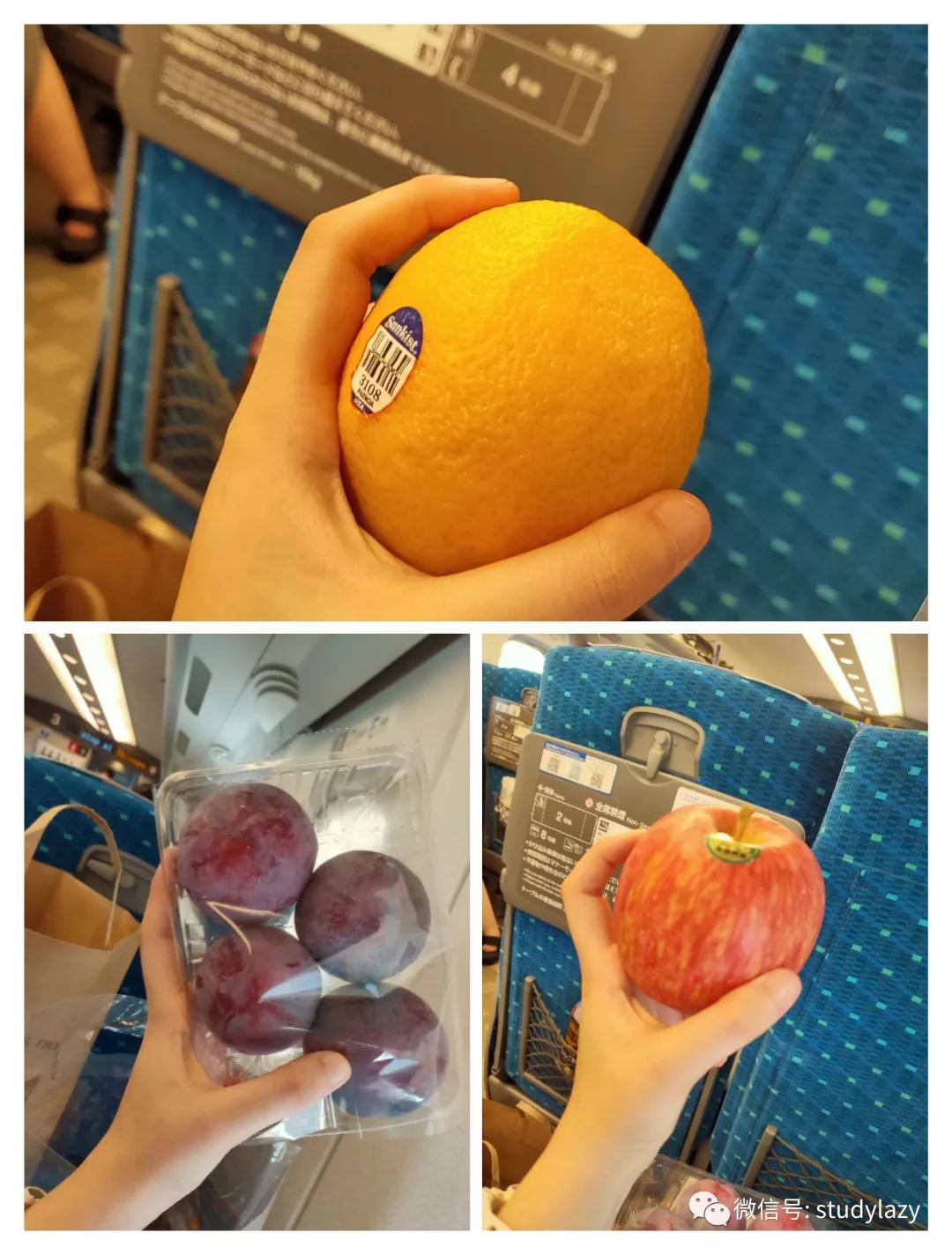 日本名古屋孕妇剖尸案,日本名古屋风景