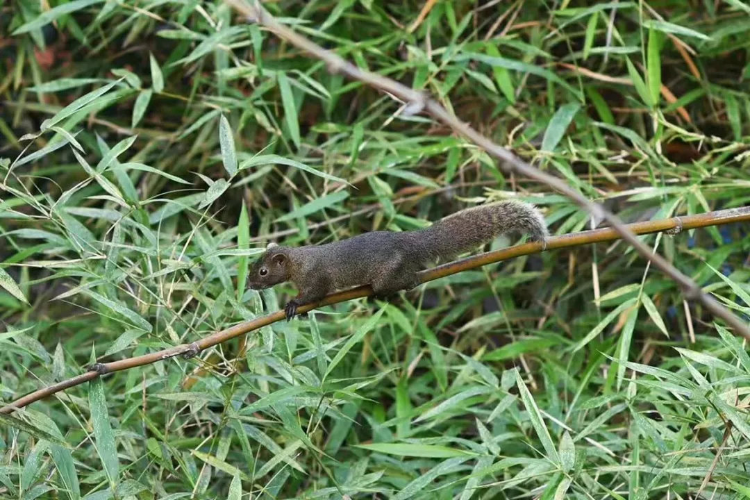 不管是出租屋还是自己存款买的小房住的舒心才是生活