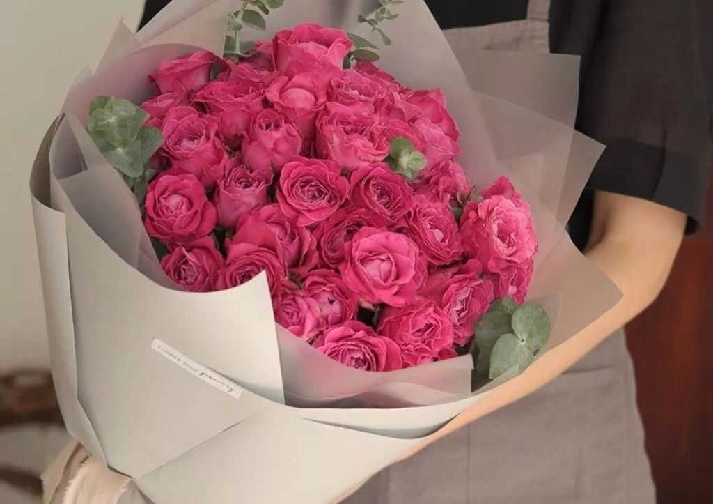 推荐几款玫瑰,哪几种玫瑰值得入手