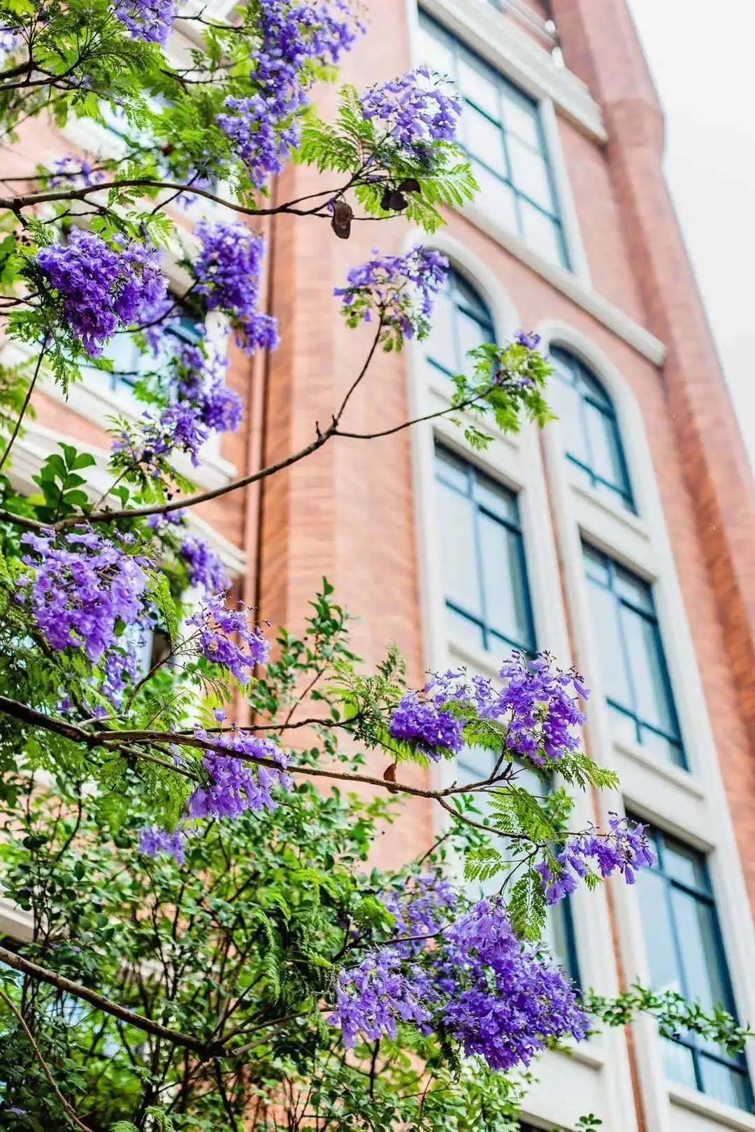 城北私立小学,城北私立中学