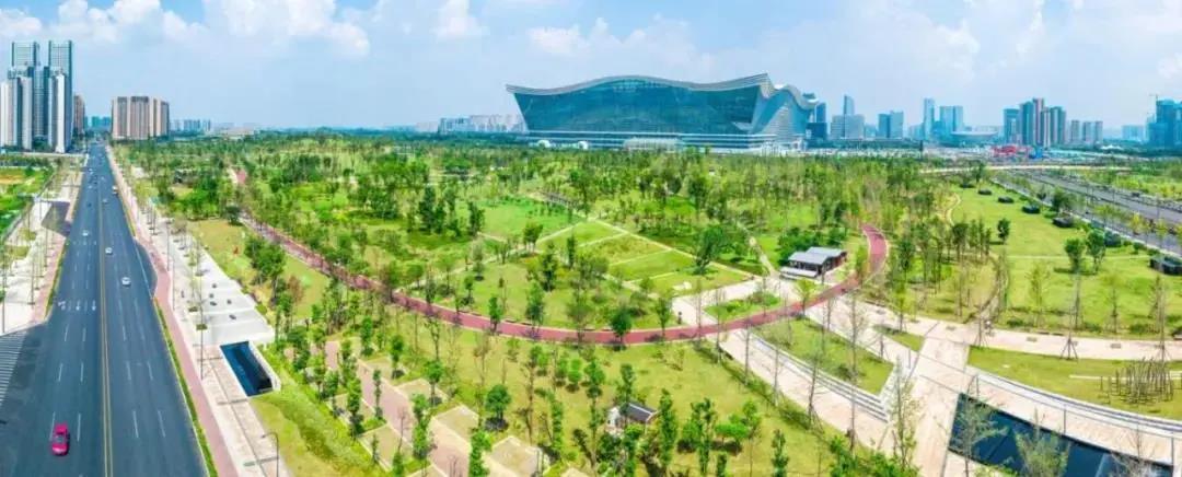 仁马半程马拉松的路况,仁马马拉松直播