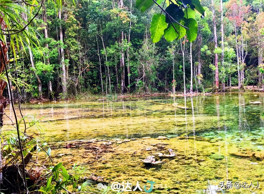 泰国旅游泳池,泰国最美的游泳池