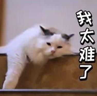 渝中区小学划片,渝中区新华小学招生范围