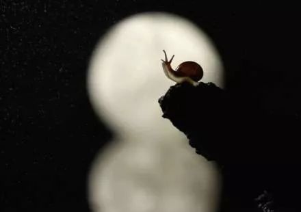 原创清明诗词,原创清明节气诗