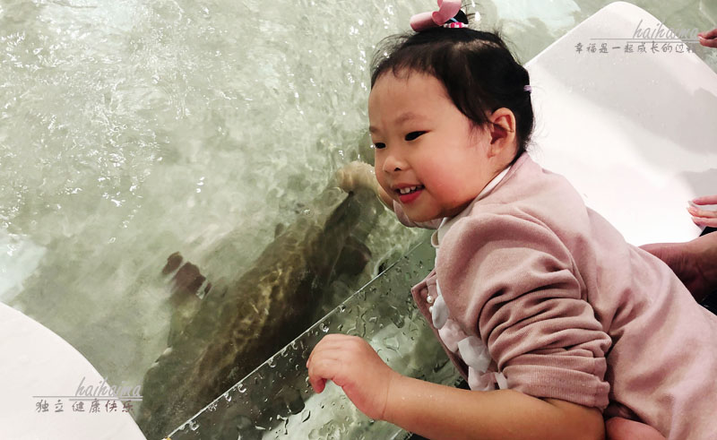 日本儿童海洋世界游玩攻略,海底世界亲子游推荐