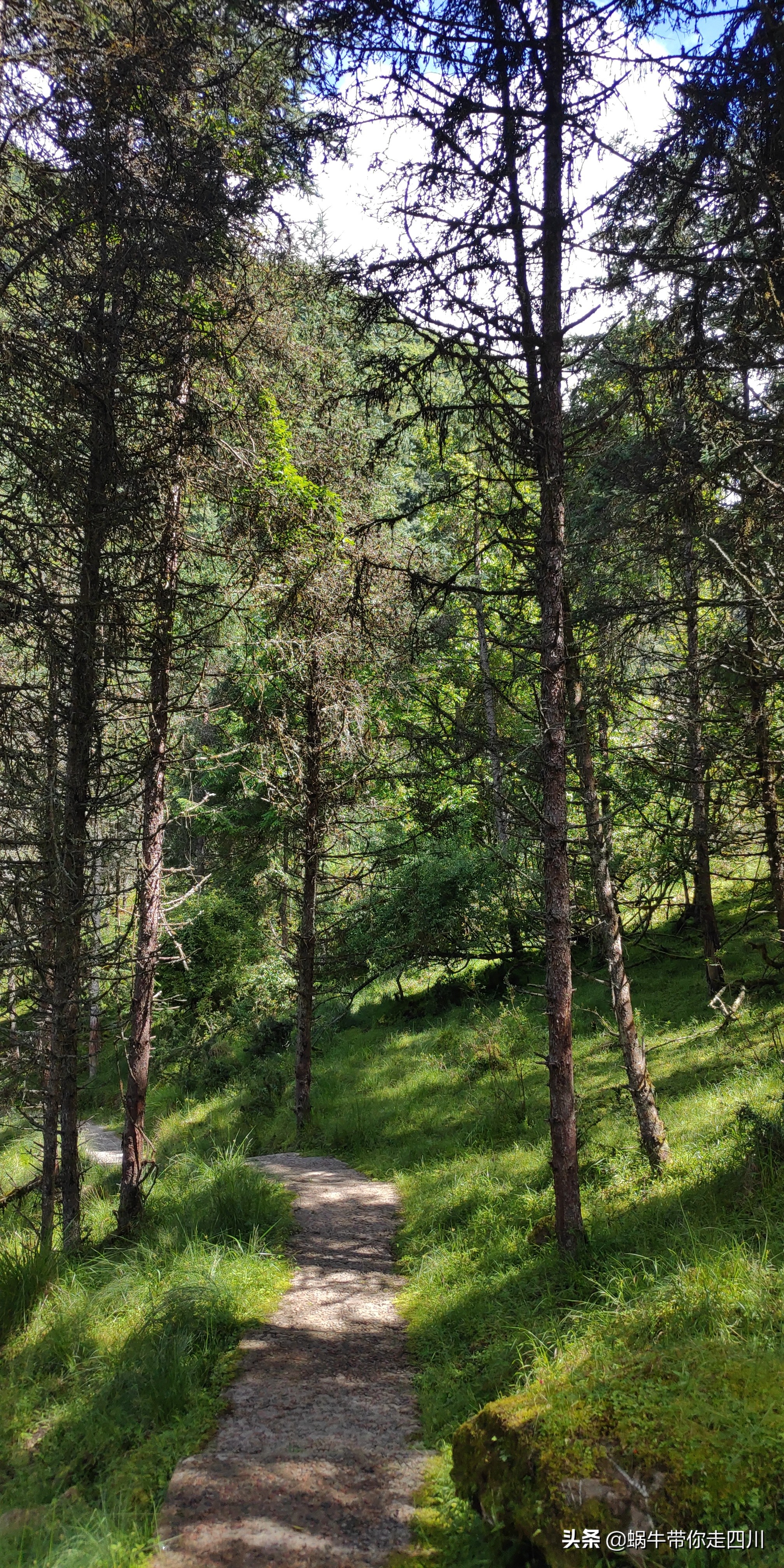 一家三口重庆到拉萨旅游攻略预算,一家三口成都去拉萨大概要多少钱
