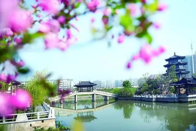 核心词汇promise用法分析,核心词汇seem的用法