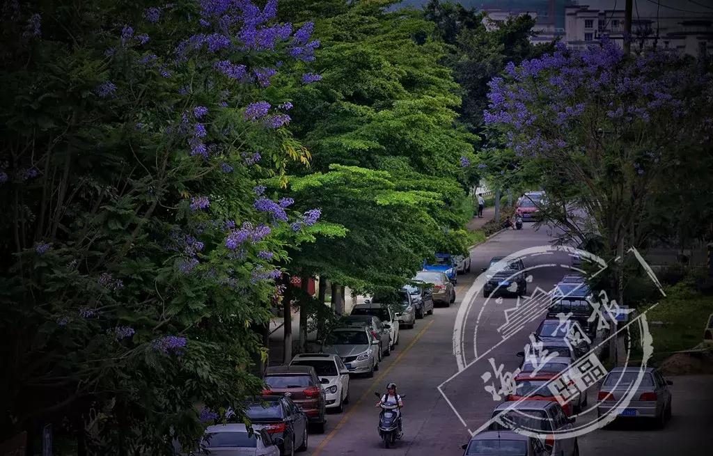 深读南安，原来有这么多理由让我爱上你
