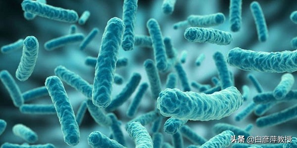 每年春天手上起小水泡痒怎么根除,手上起透明小水泡痒是猫传染的吗