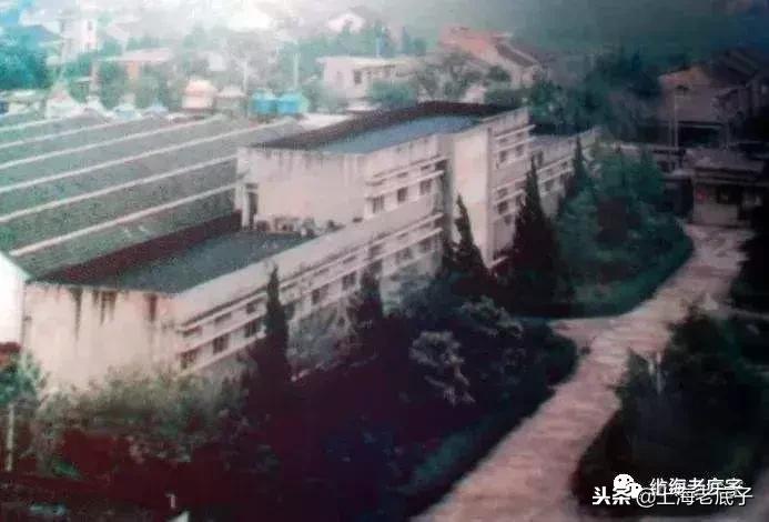 上海第一缝纫机厂机构沿革,上海第一棉纺针织厂