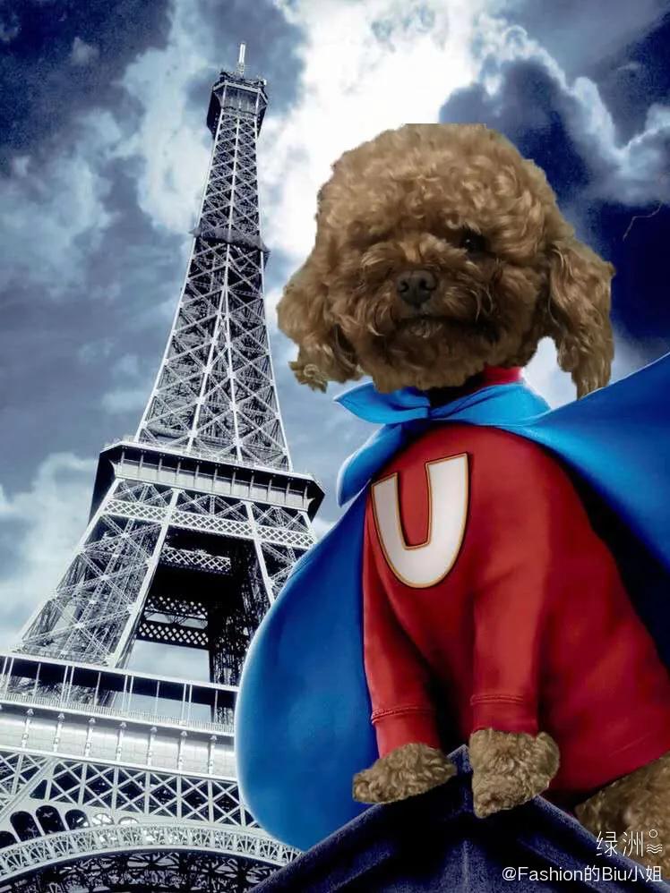 网友做的电视剧海报,让人惊艳的电影海报