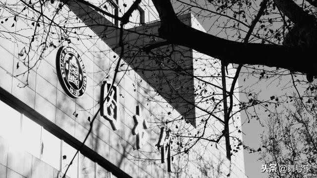 为什么选择舞蹈学校,为什么选择专业舞蹈机构学习