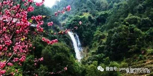 有一种生活叫永春啊,有一种生活叫永春