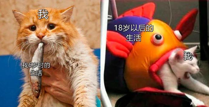 韩国代购回来不隔离吗,去韩国代购回来被海关罚款了