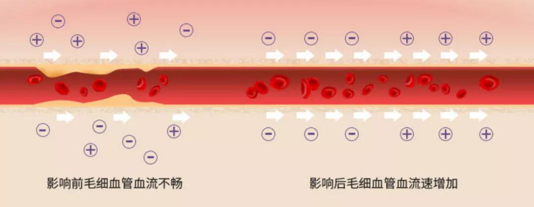 网红瘦腿打底裤测评,网红塑形瘦腿裤