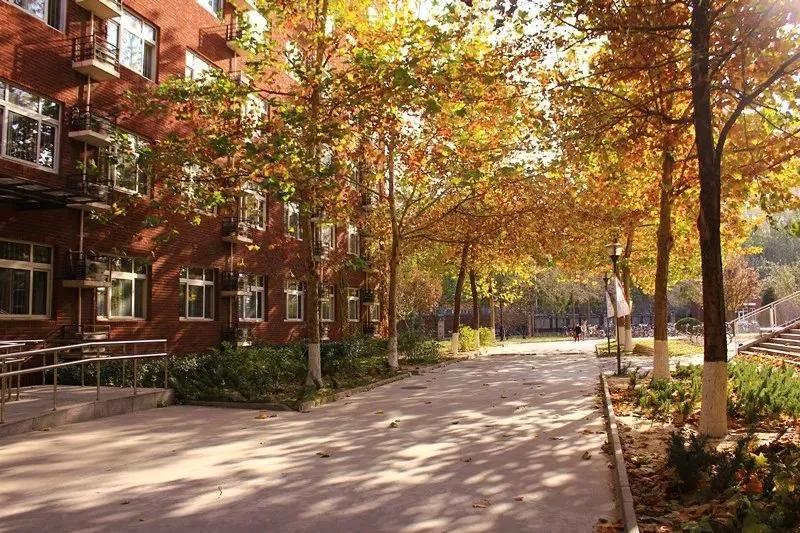 北京外国语大学附属外国语学校,北京外国语大学翻译硕士培养方案