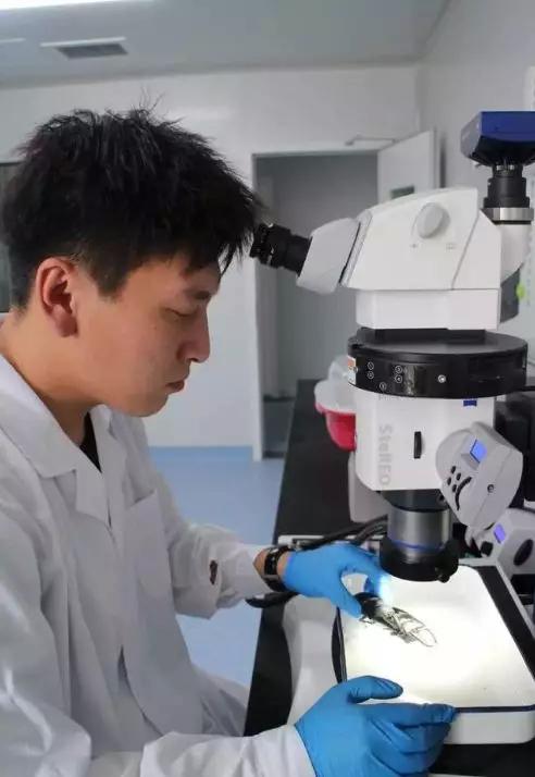 拳头大的“虫皇帝”悄悄潜入太原！国内无天敌！海关首次截获！一旦入侵后果难料