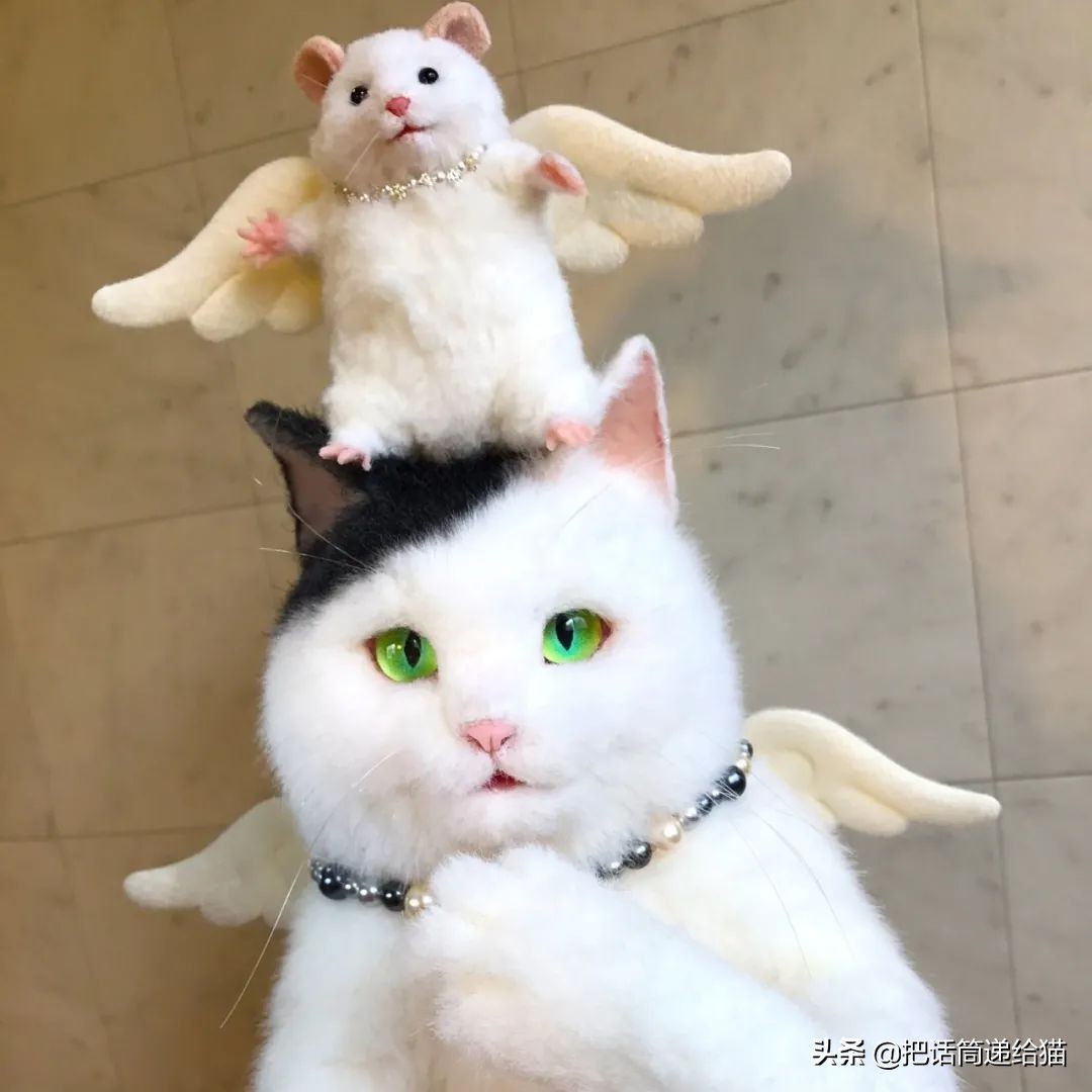 日本网红猫包,日本网红猫咪包