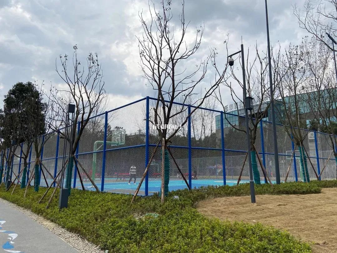 成都又一“全国首个”，将如何改变你的生活？