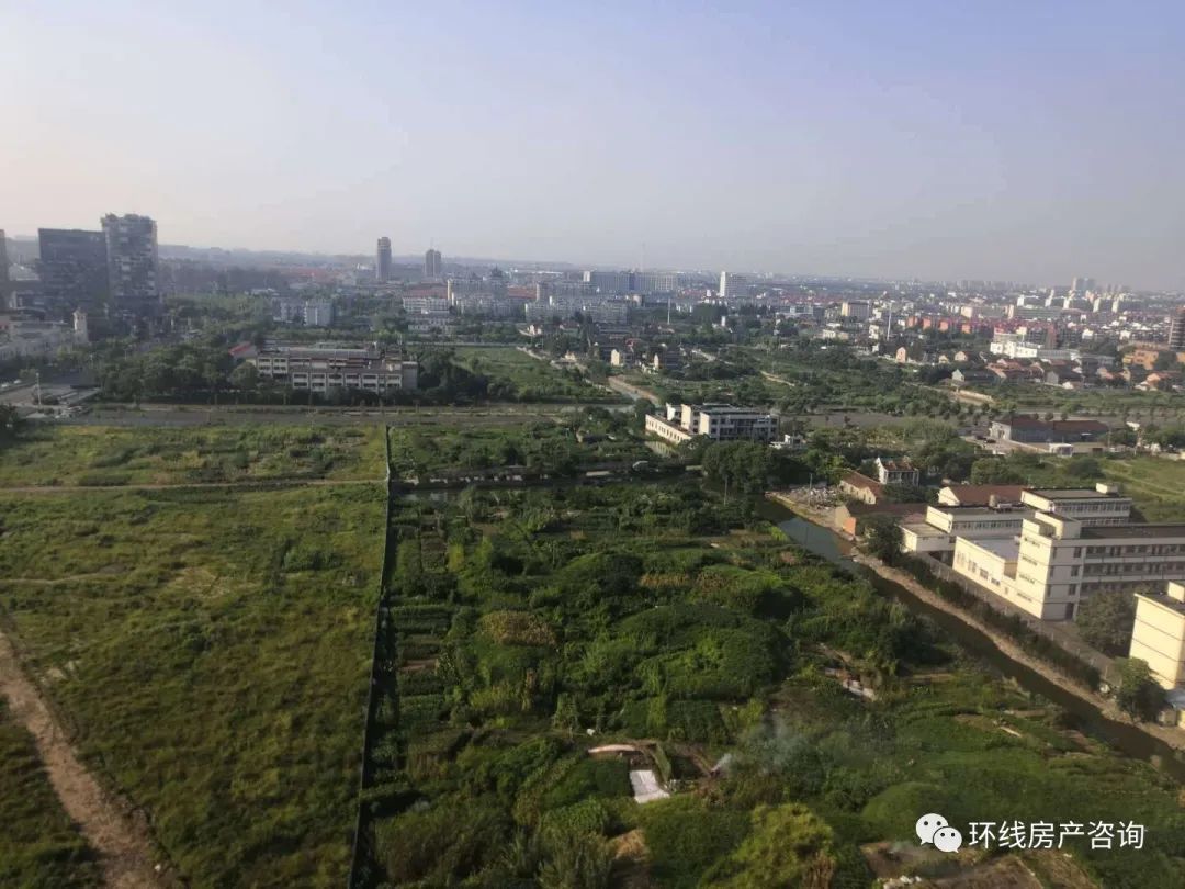 川沙值得买吗,川沙卖观赏鱼