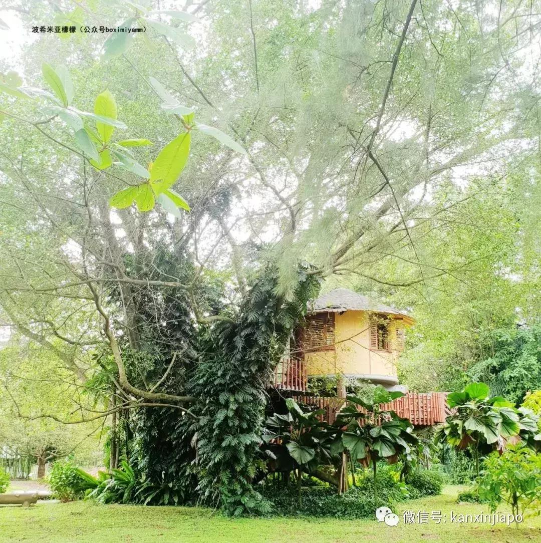 新加坡科学艺术博物馆值得去吗,新加坡必去十大科学馆