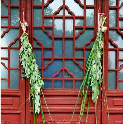 端午节为什么要挂艾草简短,端午节挂艾草是什么意思啊