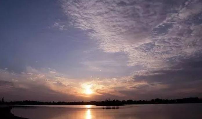 濮阳正式迈入高铁时代,濮阳县高铁片区最新规划