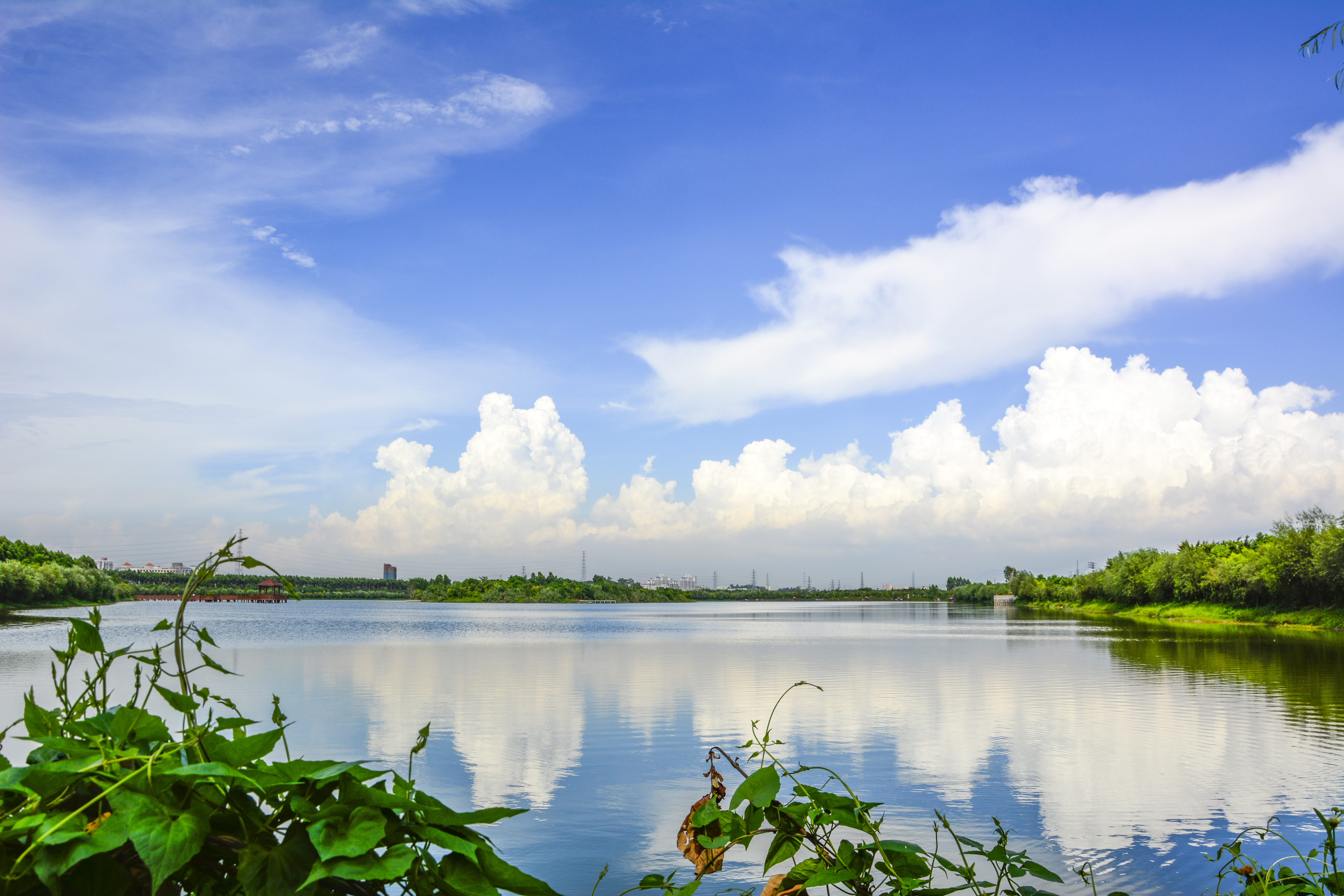东莞农业园哪里好玩的,东莞生态农业园