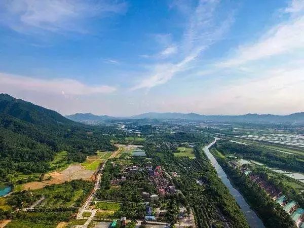 风靡香港79年，连续获得本土牛奶品牌销冠，今天带你解密维记牛奶