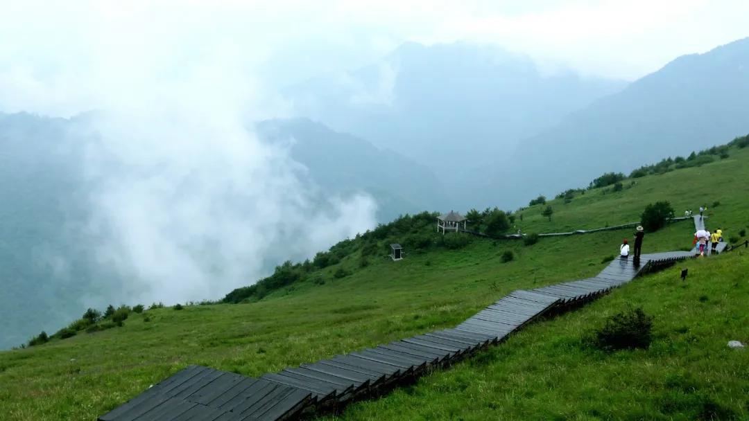 汉中周边踏青的好地方有哪些,汉中乡村游秘境