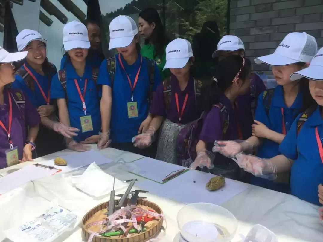 讲解大熊猫,大熊猫科普上课