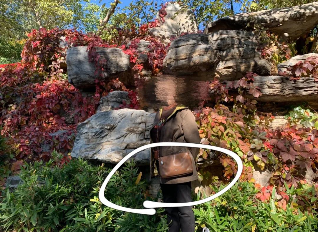 都市精致女人,都市精致女