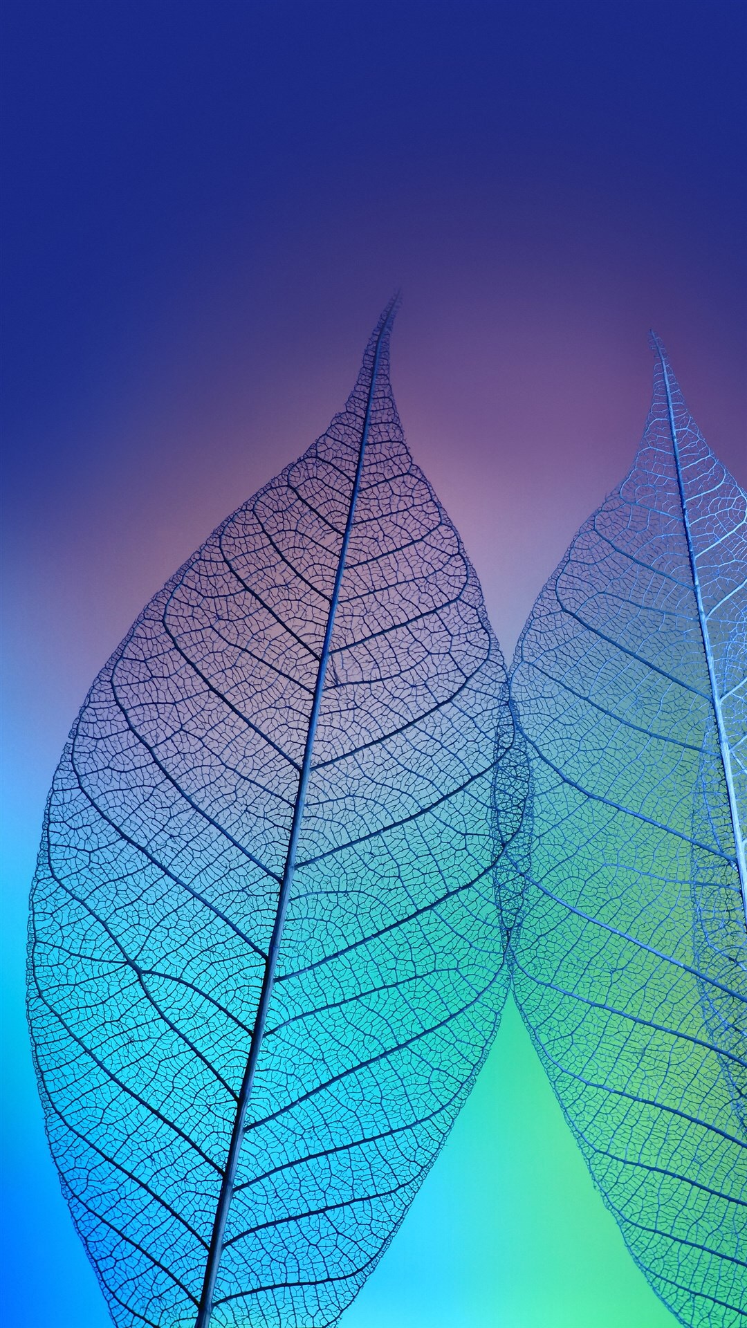 高端大气商务专用手机高清壁纸,特别高级曲面商务桌面壁纸图片