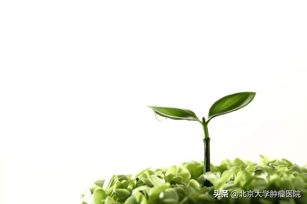 特瑞普利单抗（PD-1）联合索凡替尼治疗实体瘤II期多中心临床项目启动