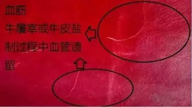 真皮沙发牛皮能修复吗,牛皮上的疤痕怎么去除