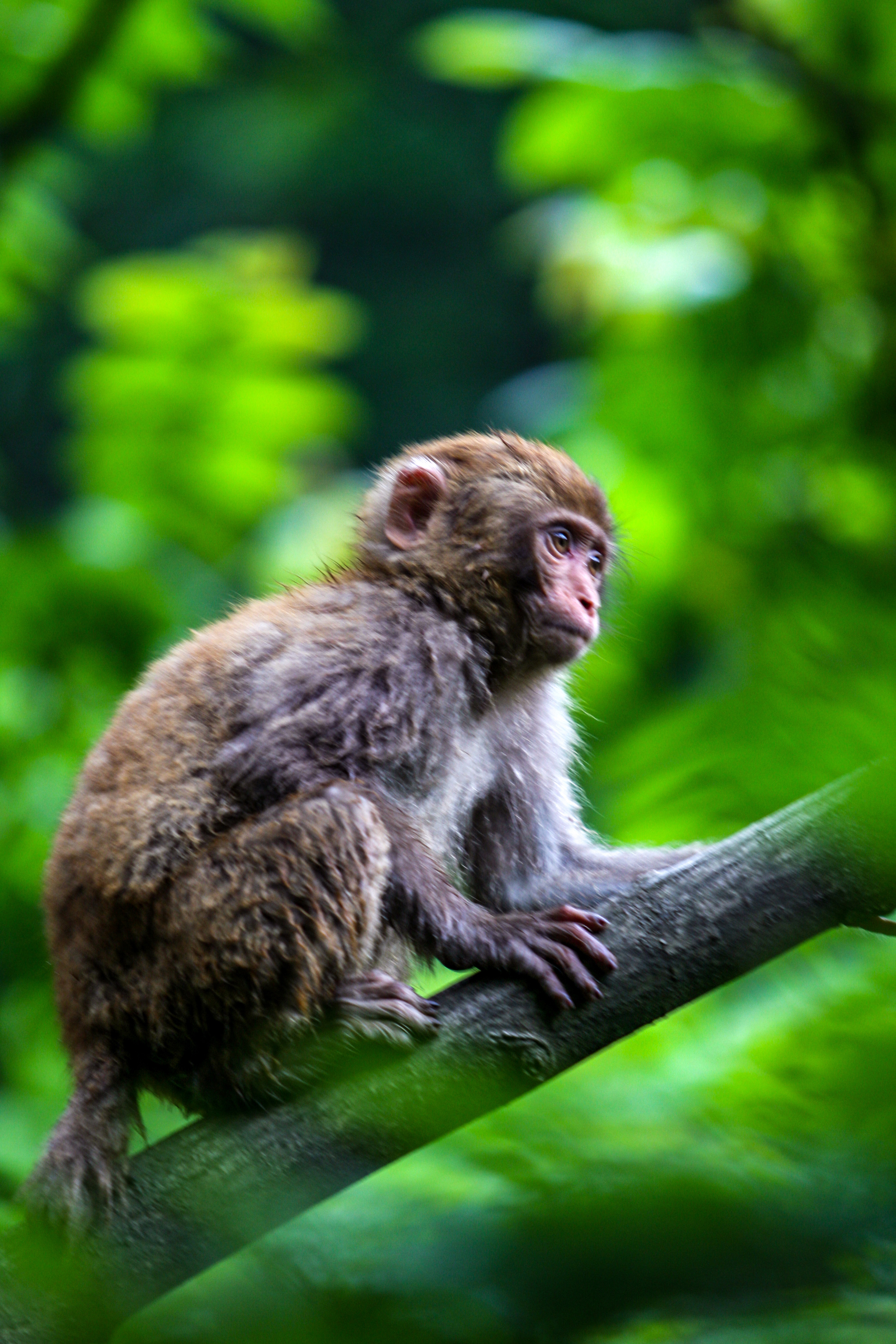 天堂纳木错完整版,天堂圣湖