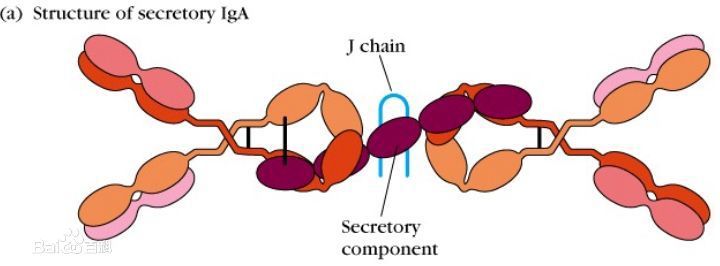 增强免疫力药物第一名口服液,儿童提高免疫力的药物有哪些