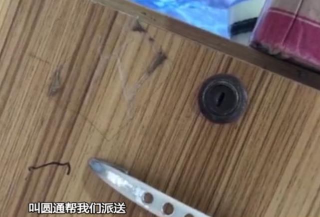 快递到网点一直不派件可以退货吗,快递到本地一天却不派送