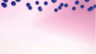 美津浓waverider24大鞋,美津浓waverider4代