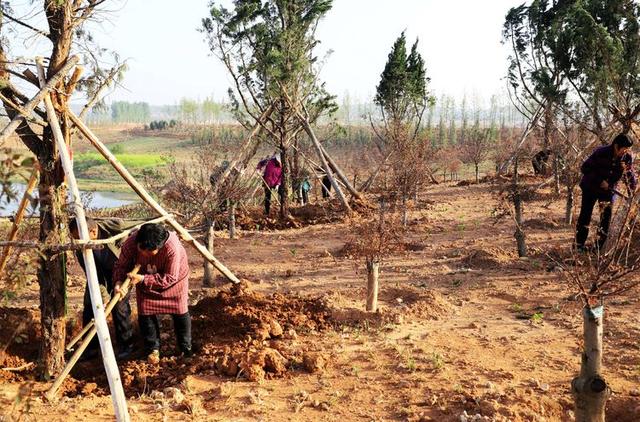 浠ユ按娑﹀煄,娑﹀煄娌抽亾娌荤悊宸ョ▼