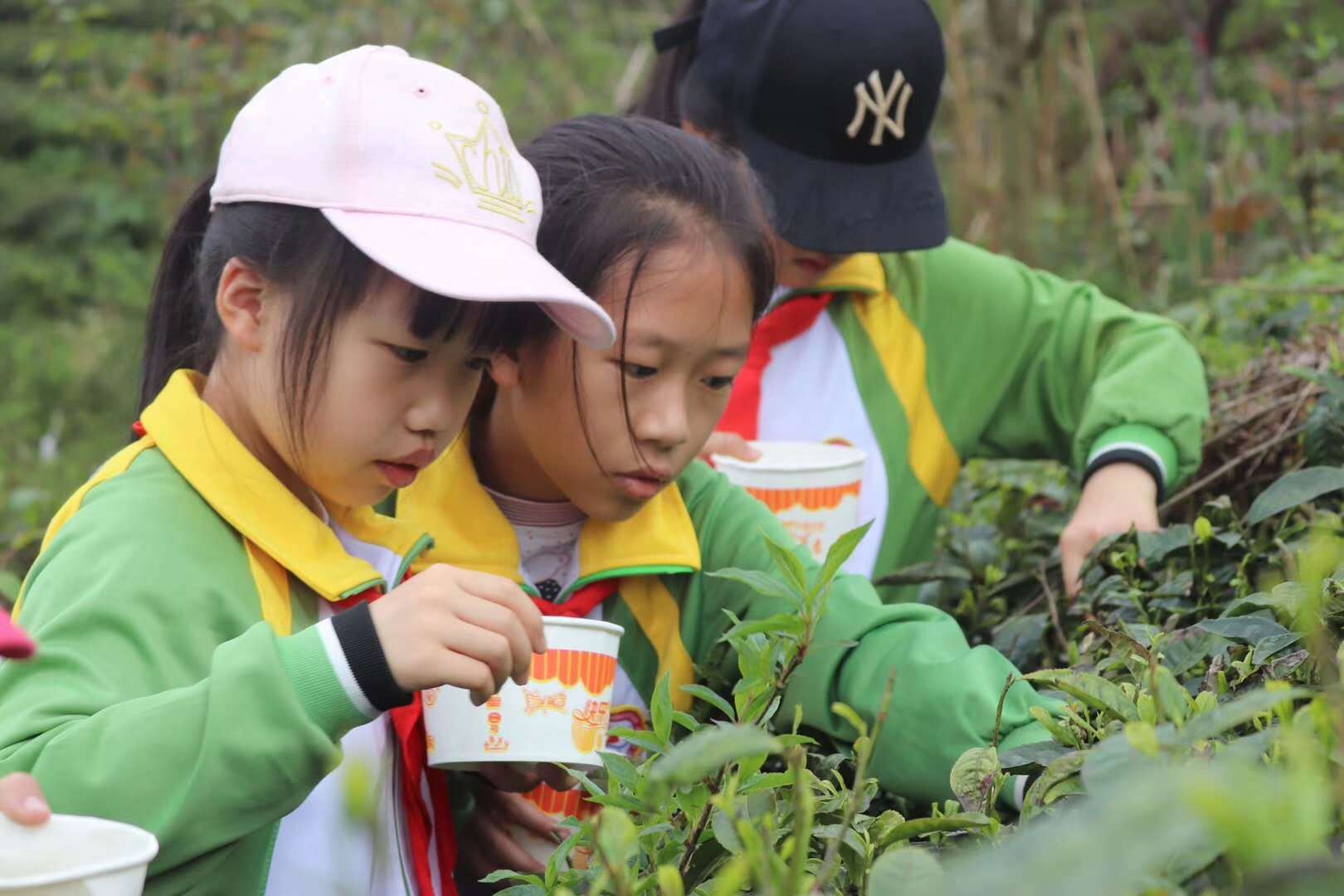 草长莺飞踏青季哪里好玩,草长莺飞春游