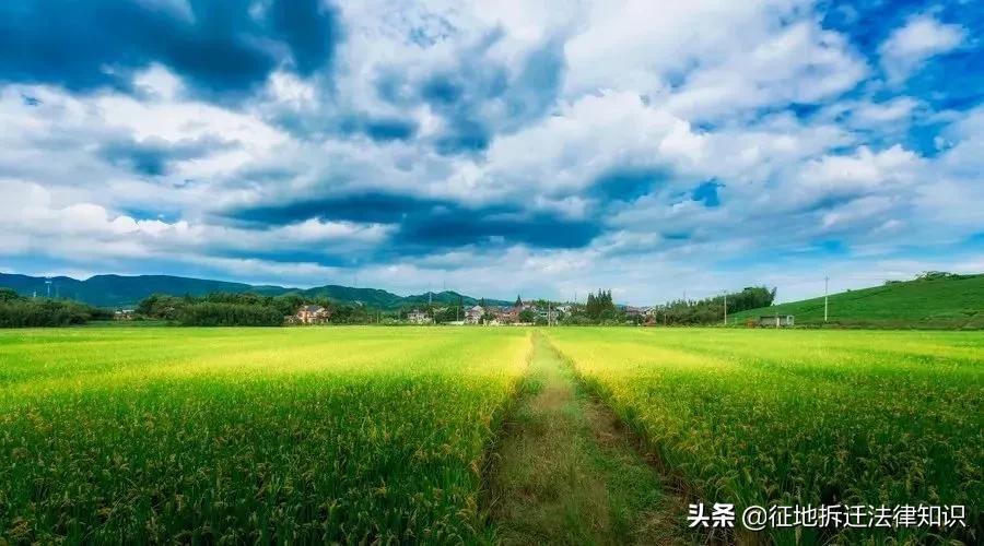 如果签了空白拆迁协议怎样补救,拆迁协议和还迁协议有什么不同