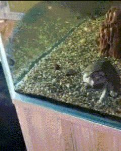 搞笑gif趣图姑娘有话好好说别动手,开心一刻gif搞笑动图